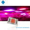spettro completo 380-780nm della PANNOCCHIA di CA LED di 50W AC200-240V 40x60mm con i connettori più veloci